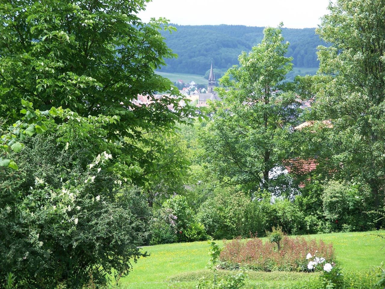 Haus Am Steinberg Leilighet Bad Driburg Eksteriør bilde